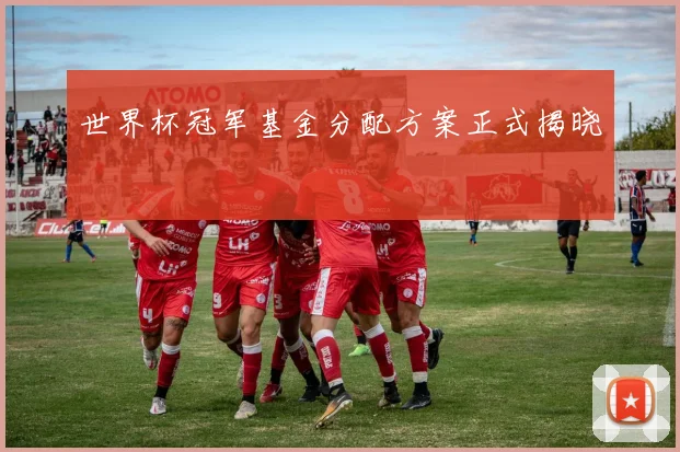 世界杯冠军基金分配方案正式揭晓