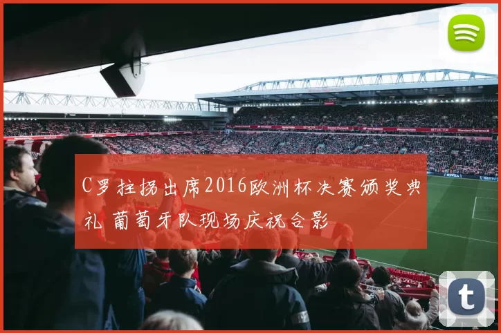 C罗拄拐出席2016欧洲杯决赛颁奖典礼 葡萄牙队现场庆祝合影